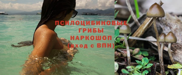 эйфоретик Новосибирск